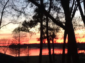 Meet your Posher, Edith